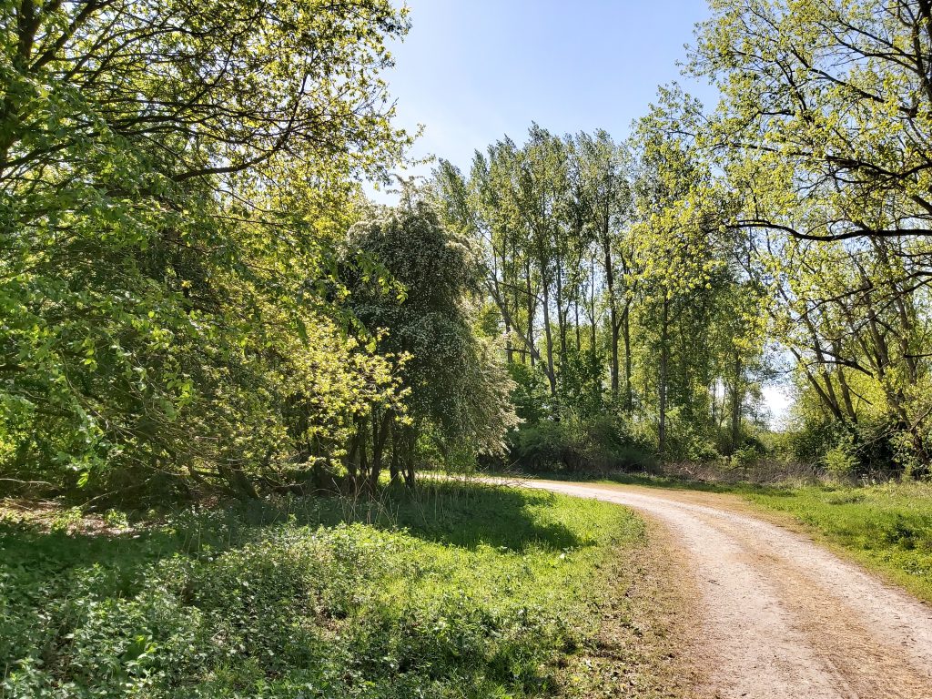 Wandelen Stille Kern - Horsterwold wandelroutes struinen