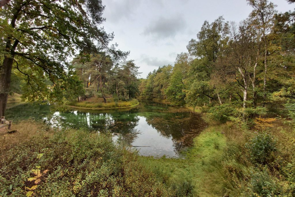 Uitzicht over het water bij Bornia en Heidestein