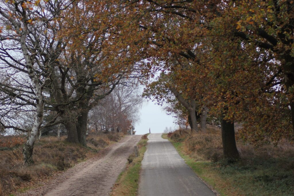 Sallandse Heuvelrug Koningsbeltroute