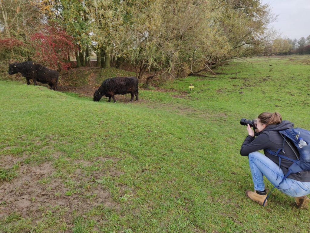 wandelen blauwe kamer vogels wageningen