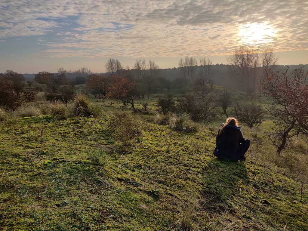 Amsterdamse Waterleidingduinen wandelen - waar damherten spotten