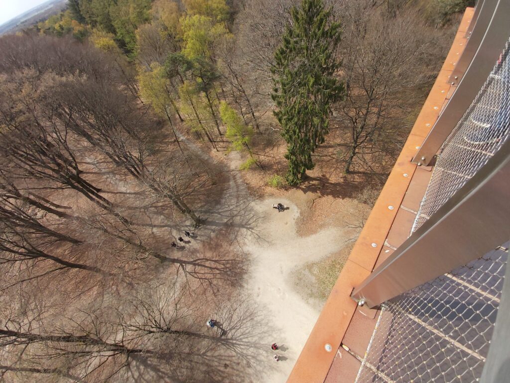 Wandelen Kaapse Bossen uitkijktoren de Kaap Utrechtse Heuvelrug