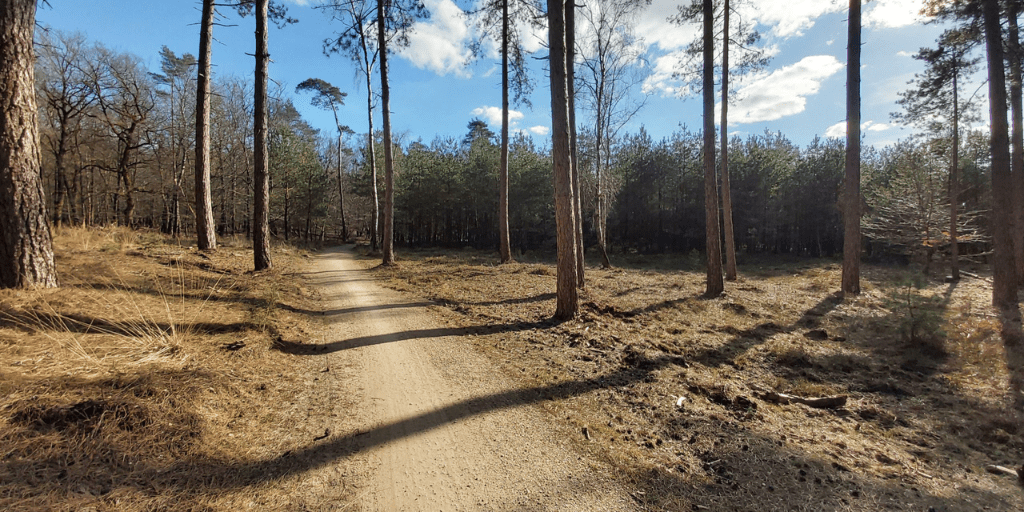 Mooiste paaltjeswandeling, knooppuntenpaaltjes Kroondomein Het Loo