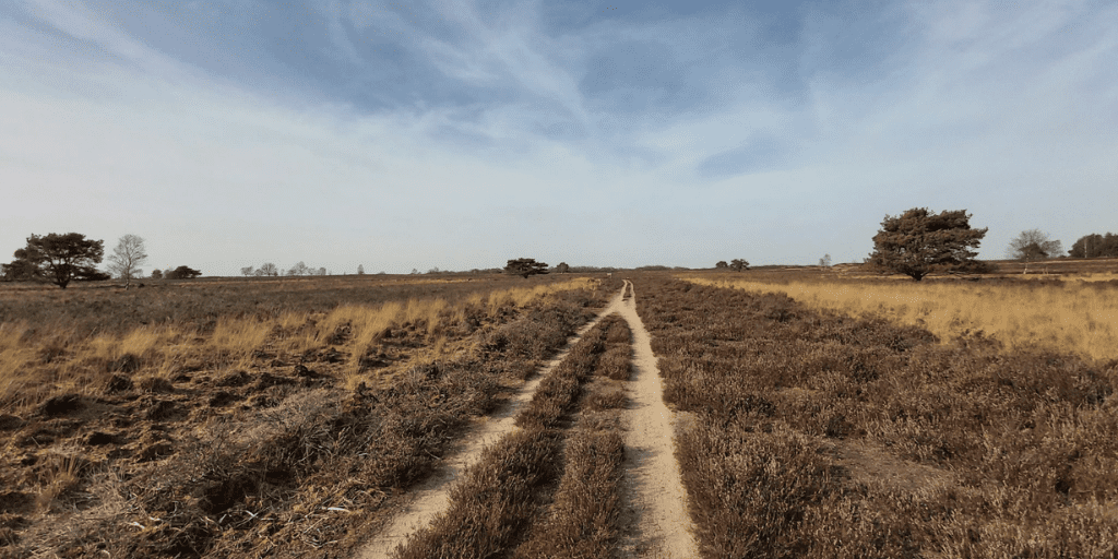 Mooiste paaltjeswandeling, knooppuntenpaaltjes Veluwe