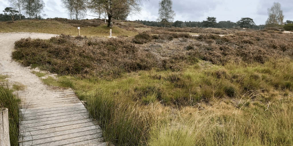 Mooiste paaltjeswandeling, knooppuntenpaaltjes Utrechtse Heuvelrug Bornia en Heidestein