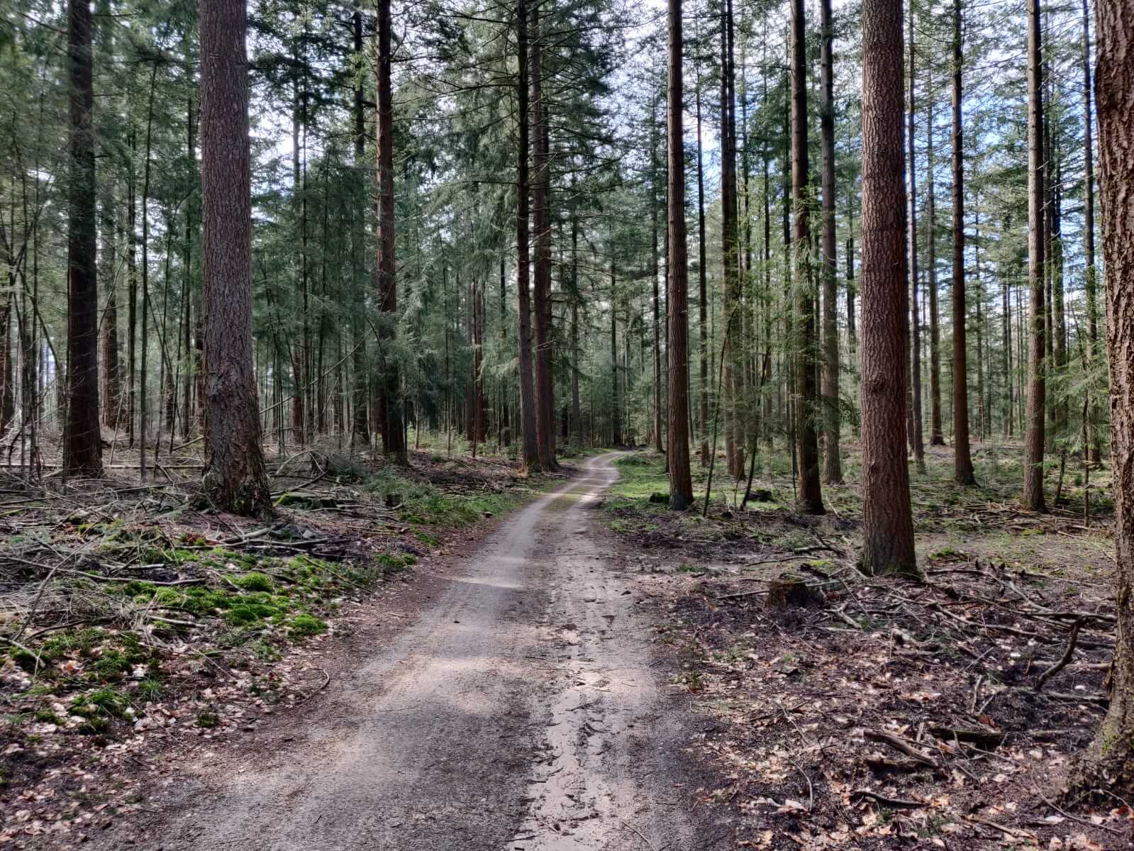 Mooiste wandelingen Kroondomein Het Loo