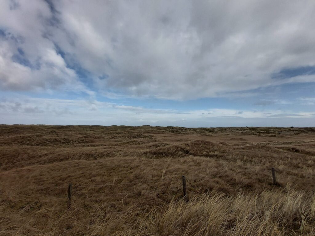 Wandelen Ameland Hollumerduinen