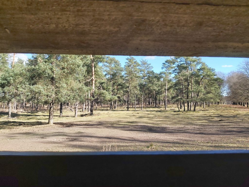 Wandelroute Kroondomein Het Loo Aardhuispark wildscherm hertjes wilde zwijnen
