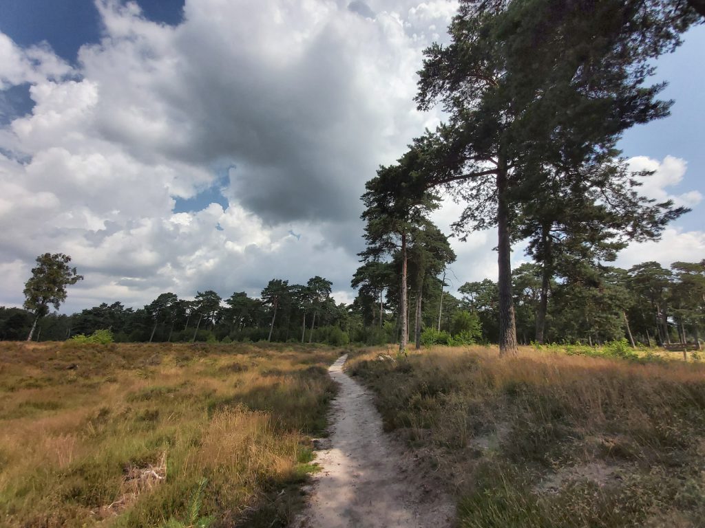 Wandelen Den Treek Ringheuvels