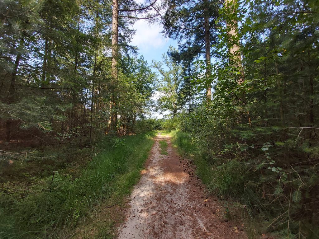 Wandelen Den Treek oerbos en Treeker Info Punt