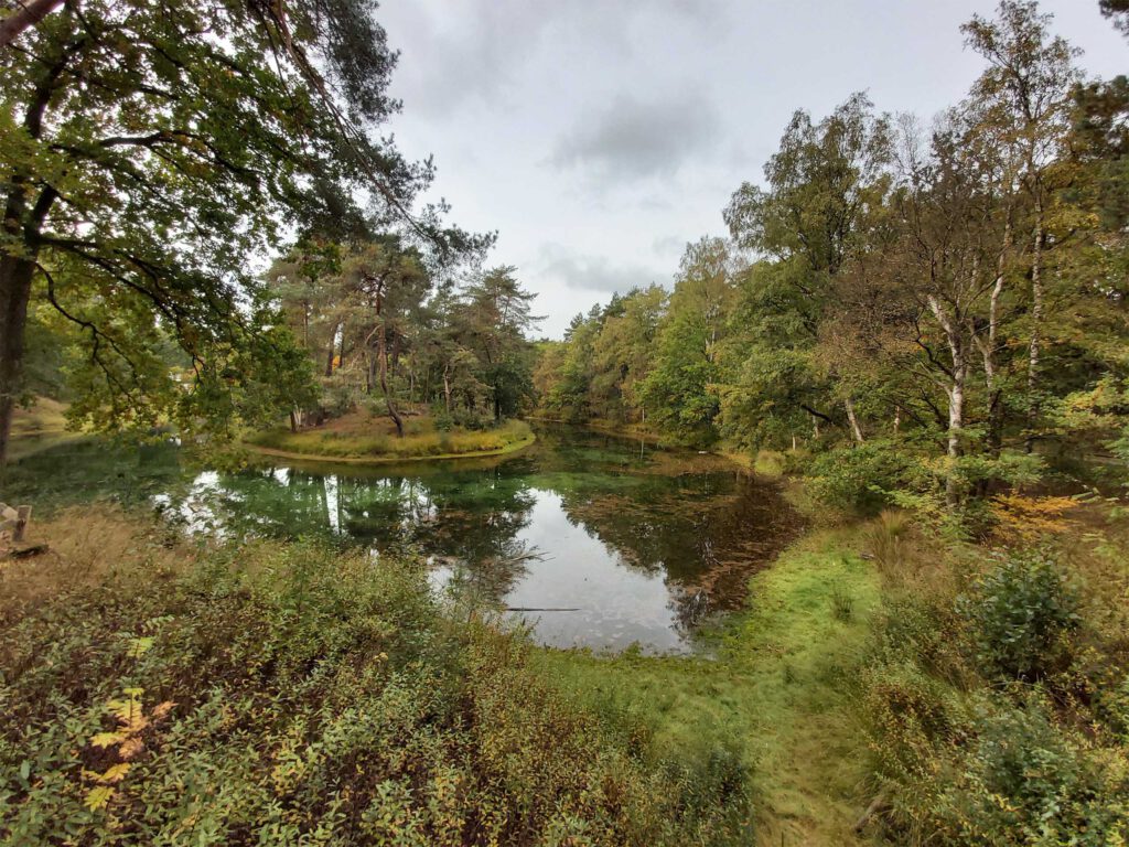 Heidewandeling Bornia en Heidestein op de Utrechtse Heuvelrug