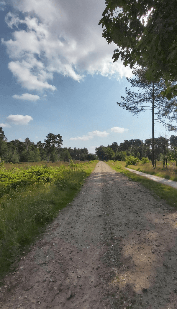 Wandelen Den Treek en landgoed Henschoten