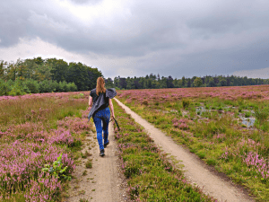 Mooiste heidewandeling - Kelsey wandelt in de heide