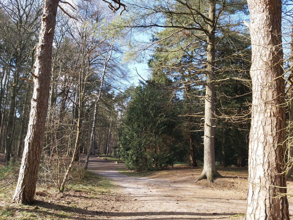 Bos wandelen Birkhoven Amersfoort herfstvakantie boswandeling lente