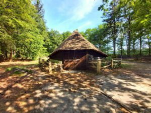 wandeling pad van zus veluwe - wereldwijd wandelen