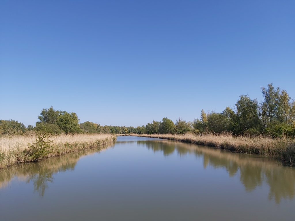 Oostvaardersplassen wandeling 't Lange Pad waterplassen en rietkragen