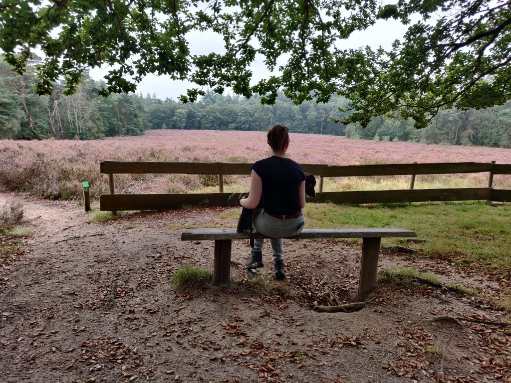 Wandelen landgoed Prattenburg Rhenen