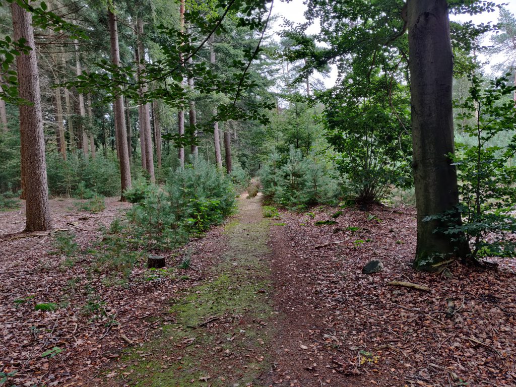 Wandelen landgoed Prattenburg Rhenen