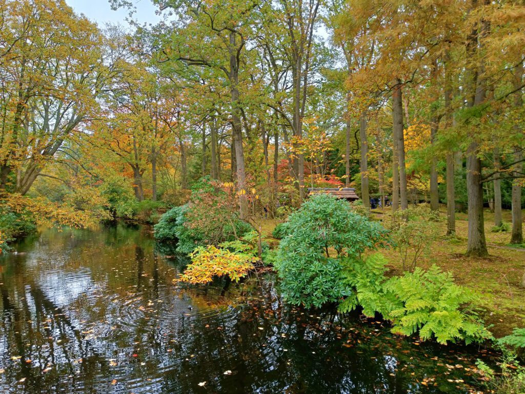 Clingendaelse Bos, Landgoed Clingendael buggy's en rolstoelen