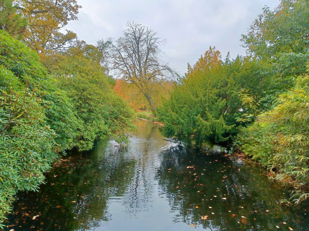 Clingendaelse Bos, Landgoed Clingendael openingstijden japanse bos