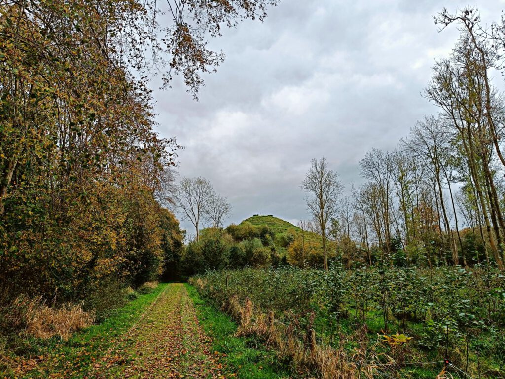 Museumbos Cirkelbos Almere wandelen herfst
