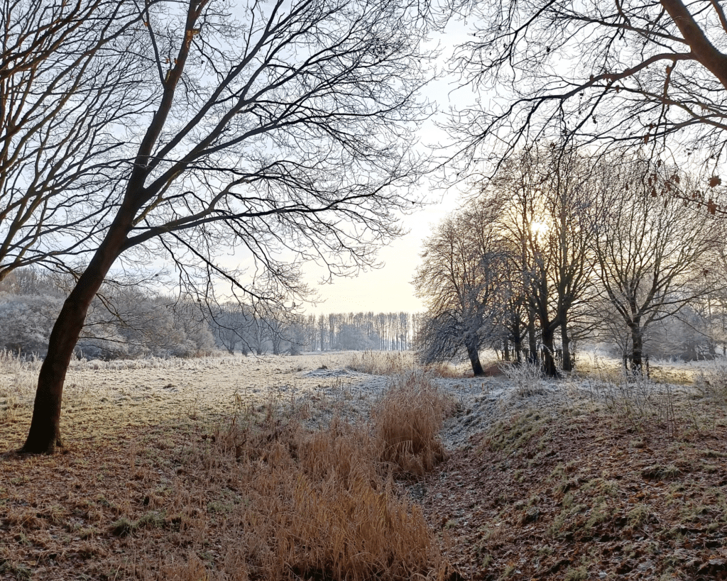 buitenverblijven Natuurpark Lelystad