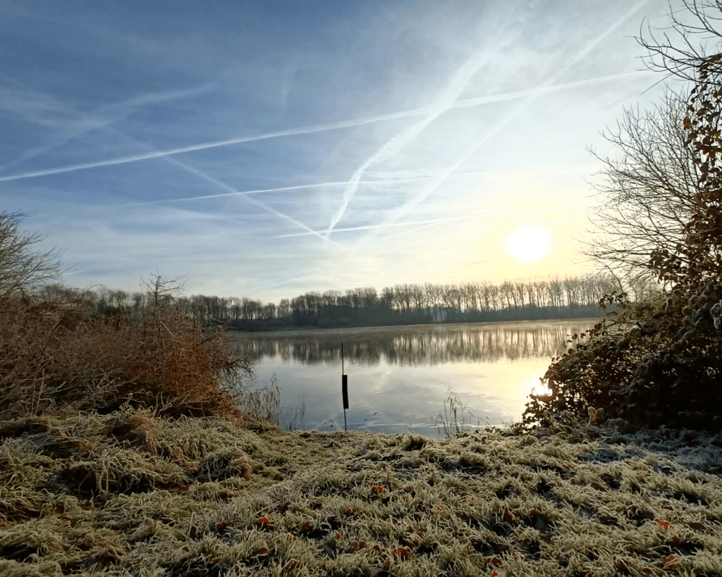 watervogels Natuurpark Lelystad