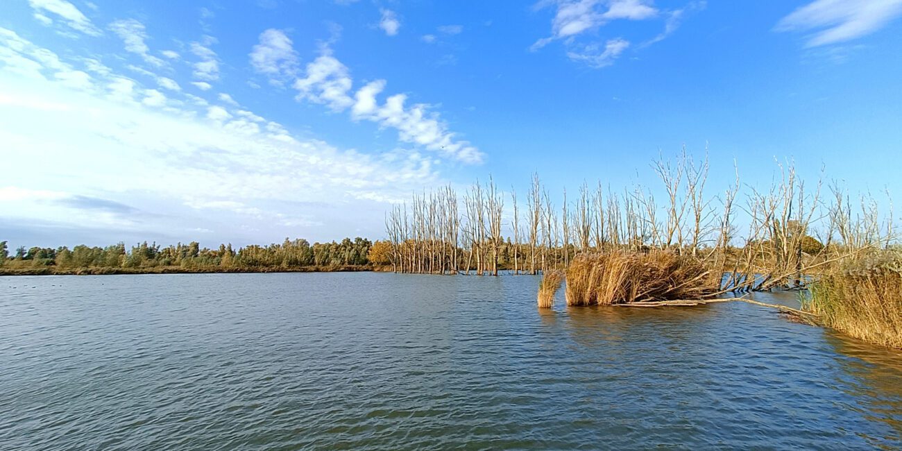 Biesbosch wandelen Polder Jantjesplaat lente voorjaar