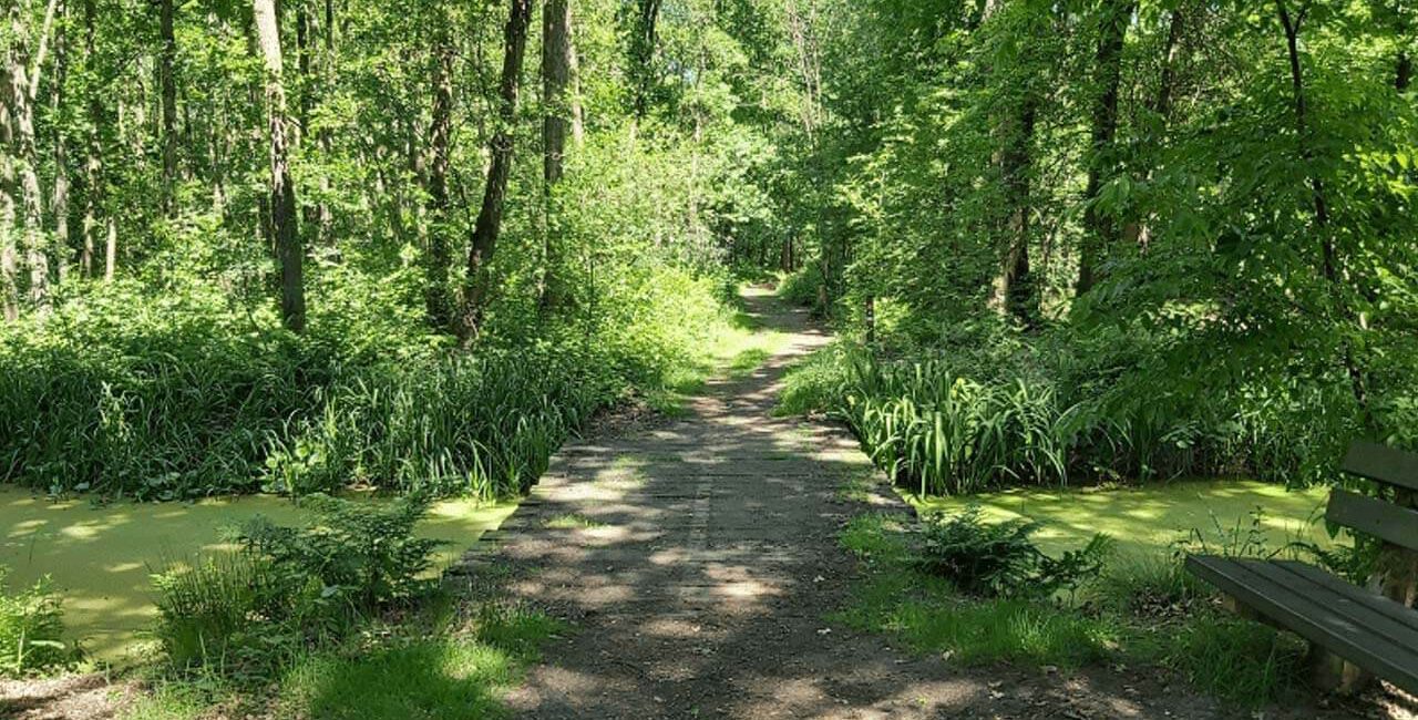 Nieuwe lockdown - Corona lockdown wandelroutes - Moerasbos het Schuitwater