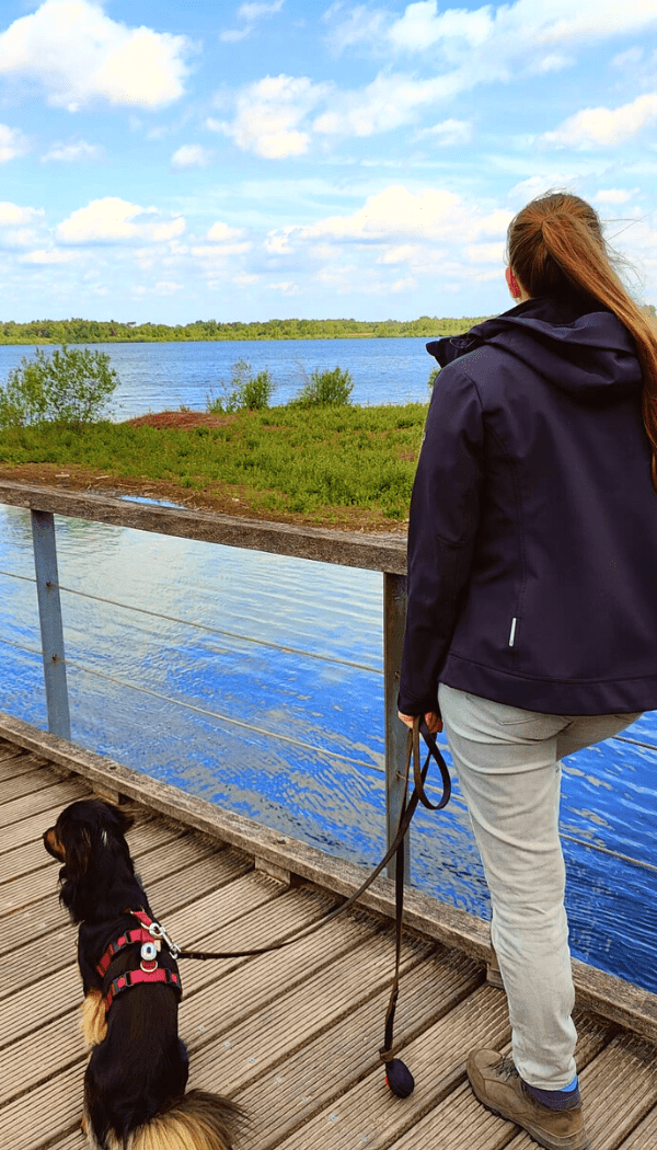 Maasduinen wandelen Reindersmeer kraakhelder meer
