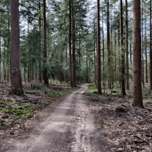 Mooie wandelroute Nederland Kroondomein Het Loo