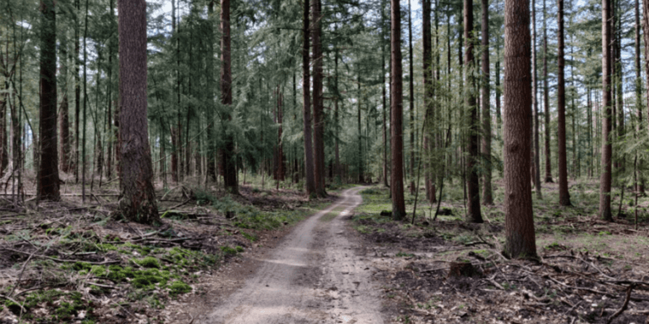 Mooie wandelroutes Nederland