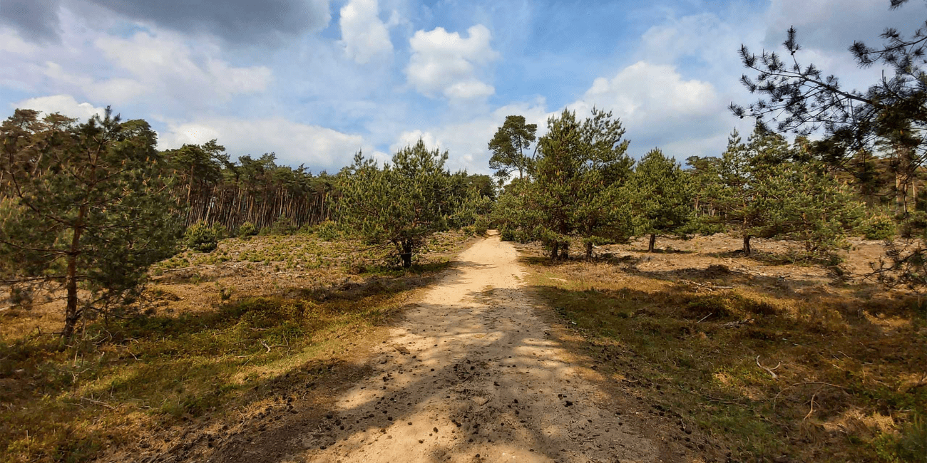 GPS wandelen - Hoge Veluwe