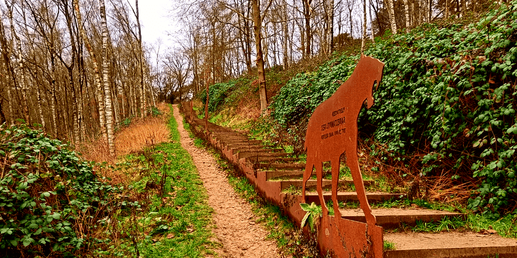 Mooiste wandelingen Veluwe Goudsberg Middelpunt Nederland