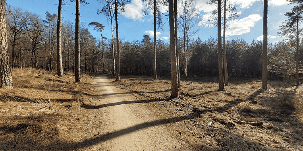 wandelen kinderen Veluiwe kroondomein Hoge Veluwe