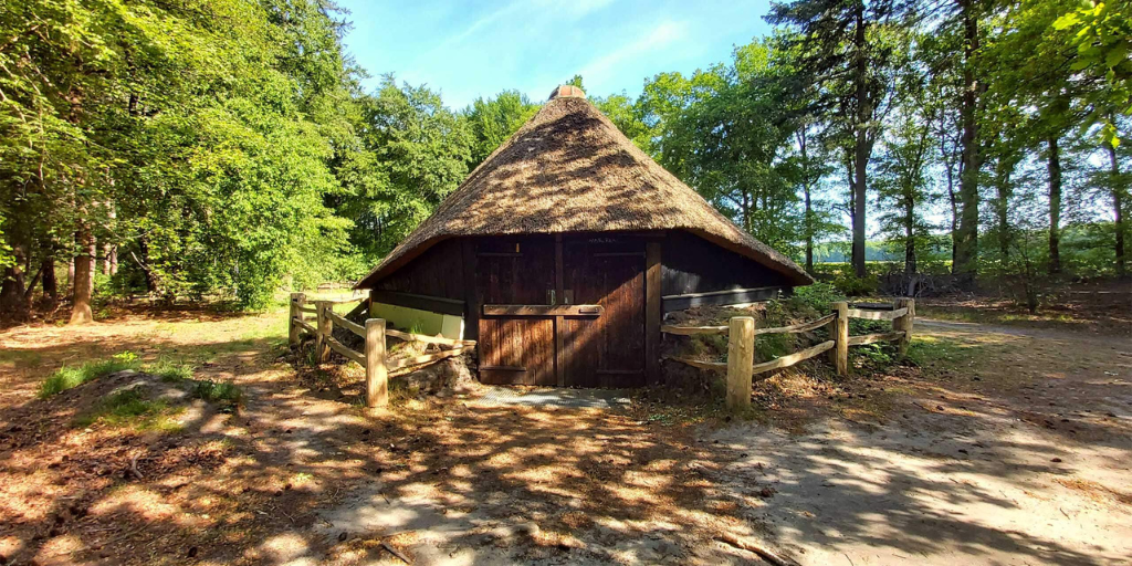 Wandelen Veluwe mooiste wandelroutes Speulder en Sprielderbos