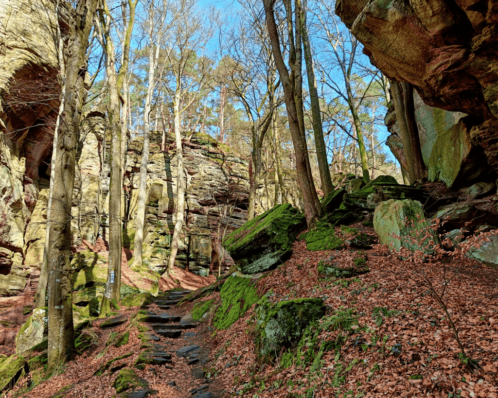 hiken luxemburg mullerthal b2 berdorf