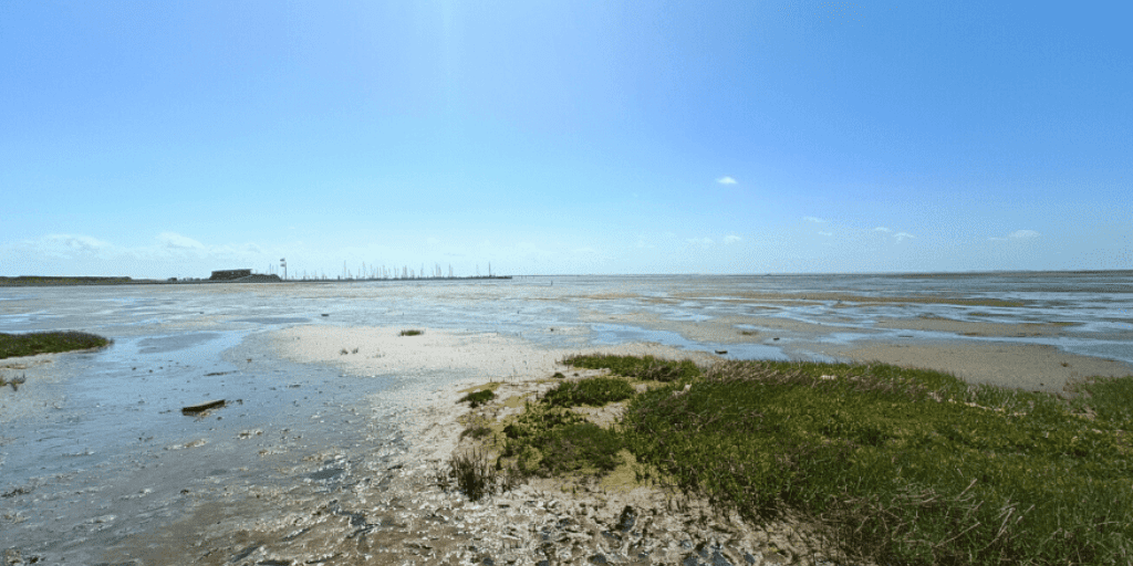 Avondwandelingen wandelen avond